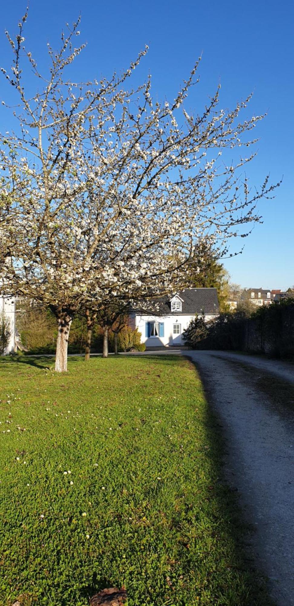 Gite Le Fruitier Beaugency Exterior foto